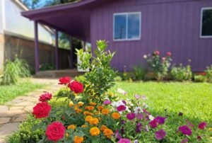 WhatsApp Image 2026-02-12 at 10.14.43